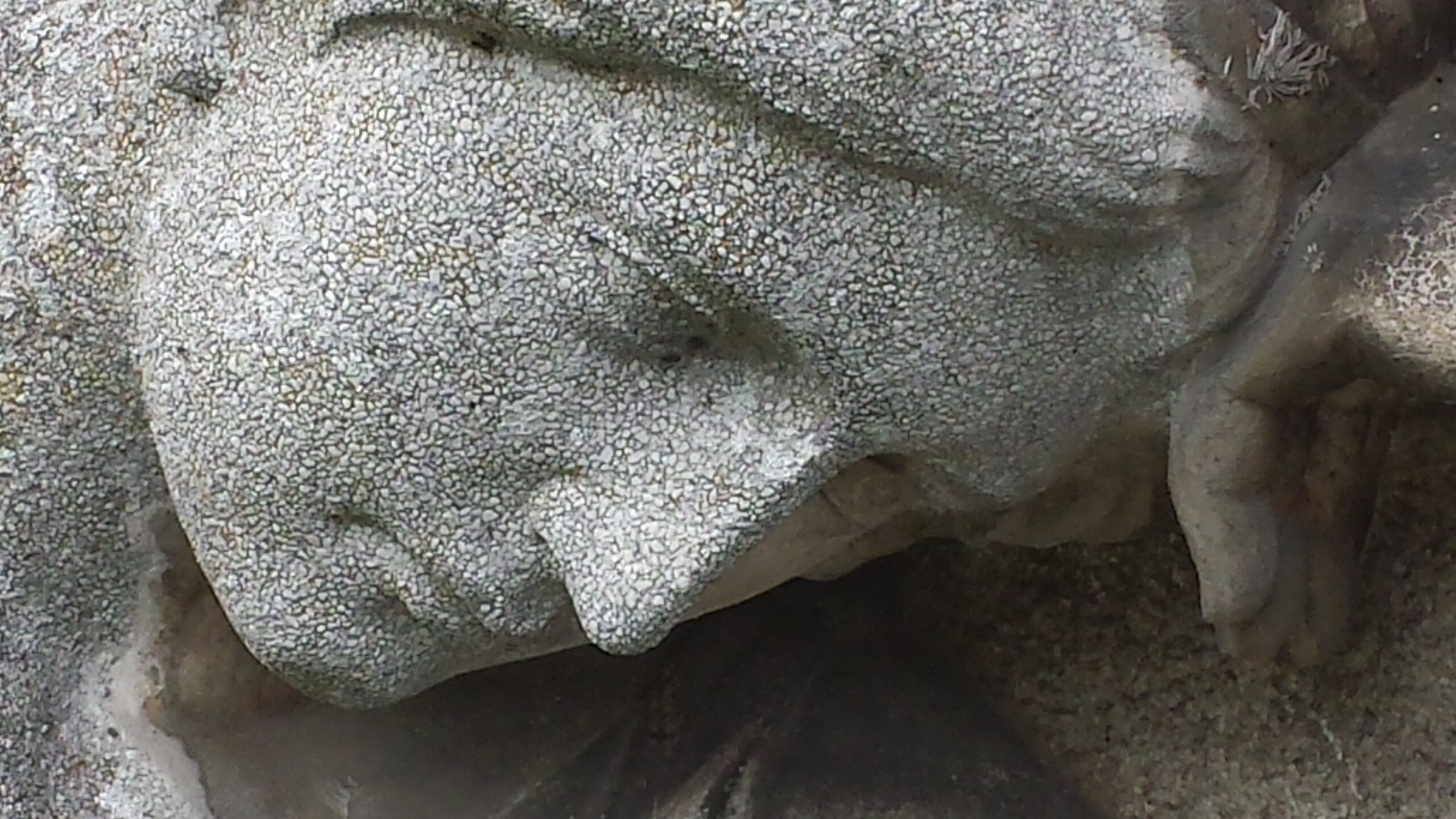 image d'une statue pour adieu - alfred de musset